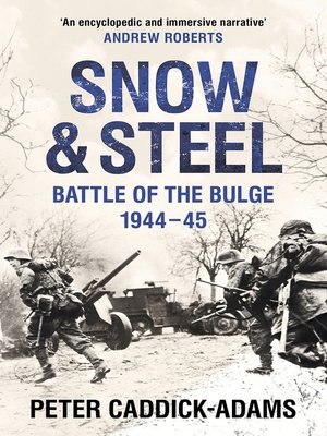 cover image of Snow and Steel